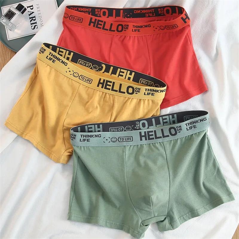 10Pieces/ Men's Underwear Men  - Boxer Shorts Modal recensione e prezzo