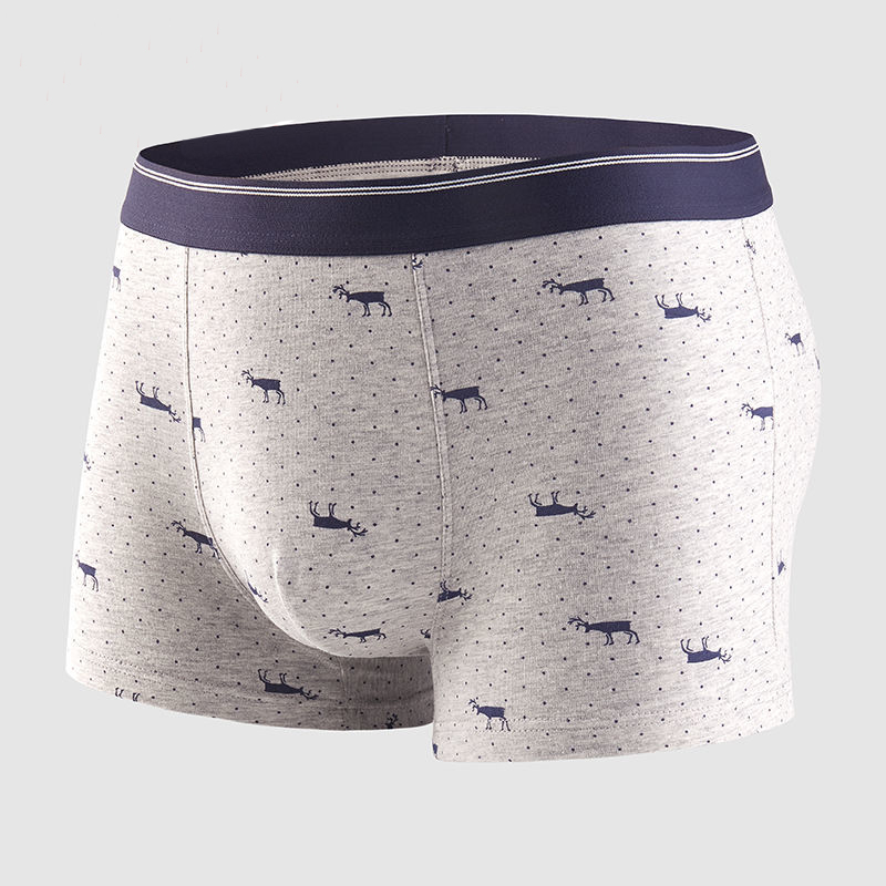 4pcs Men's Panties Sexy Shorts - Boxer Brief Pack Cotton recensione e prezzo